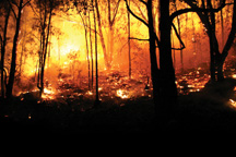 Fire/Crisis Media Revolution/Photo copyright iStockphoto